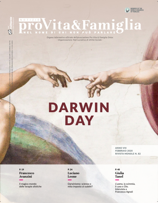 Notizie Pro Vita & Famiglia_febbraio_ Darwin Day_particolare della Creazione di Michelangelo